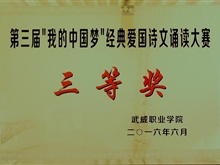 ”我的中国“梦经典爱国诗文诵读大赛二等奖