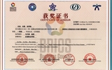 2023年一带一路暨金砖国家技能发展与技术创新大赛新型电力系统的设计实施赛项一等奖
